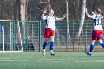 Bild 266 - F Hamburger SV 3 - Blau-Weiss 96 : Ergebnis: 5:1